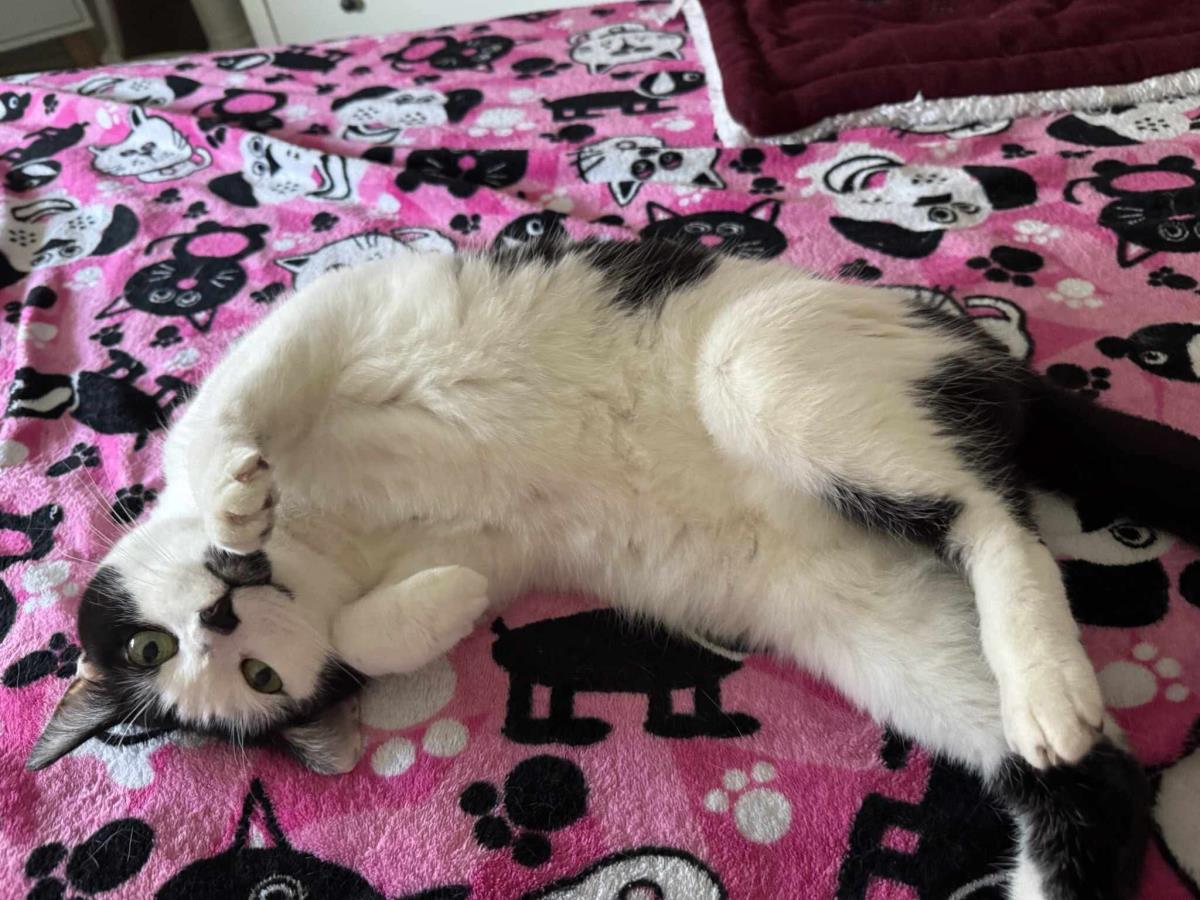Photo of Millie Mews