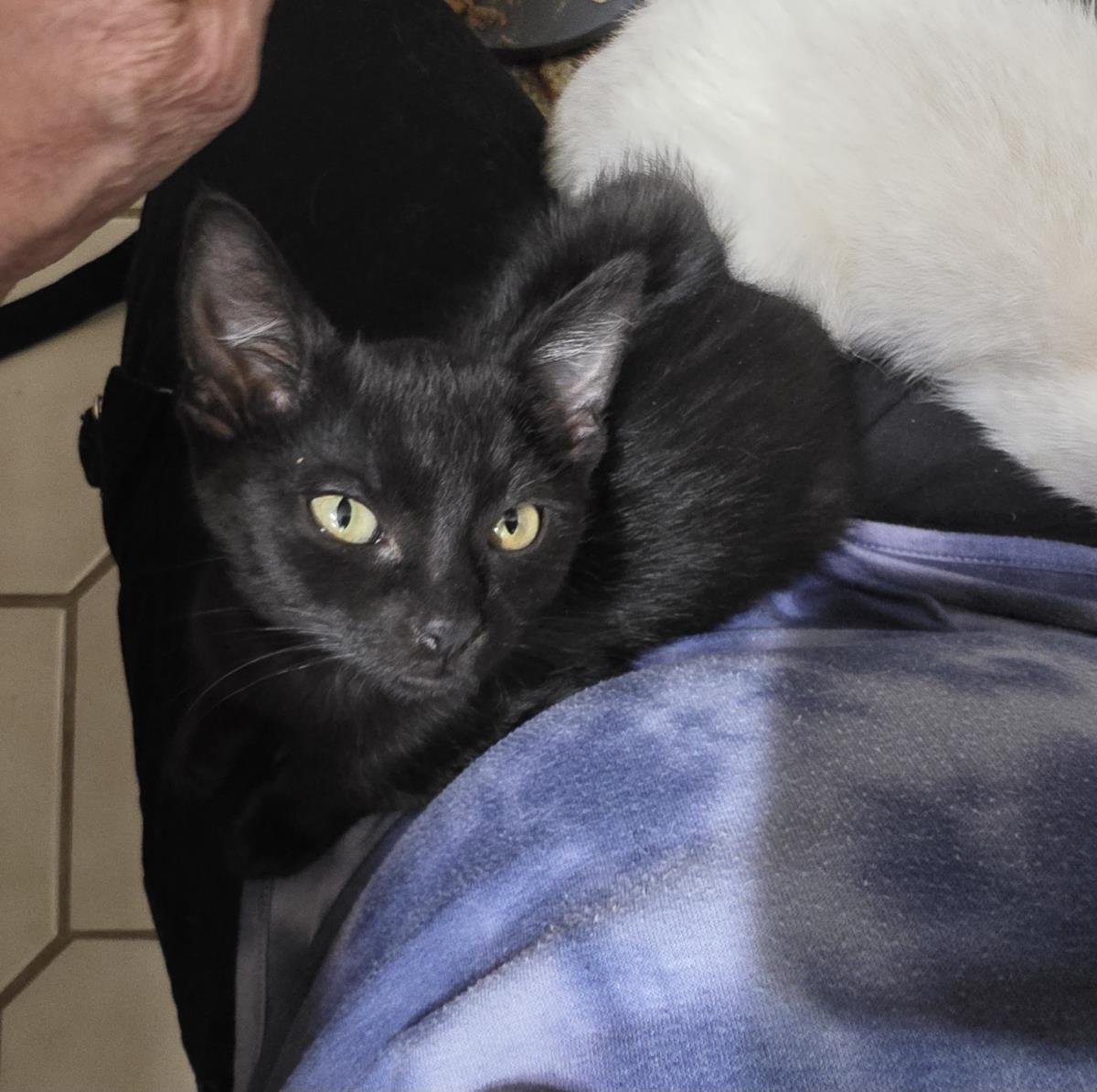 Photo of Kahlua Raz