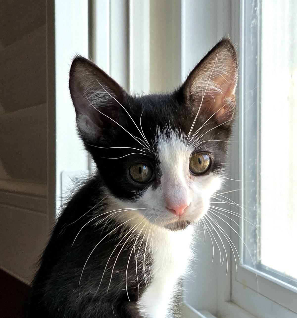 Photo of Feliz Kay