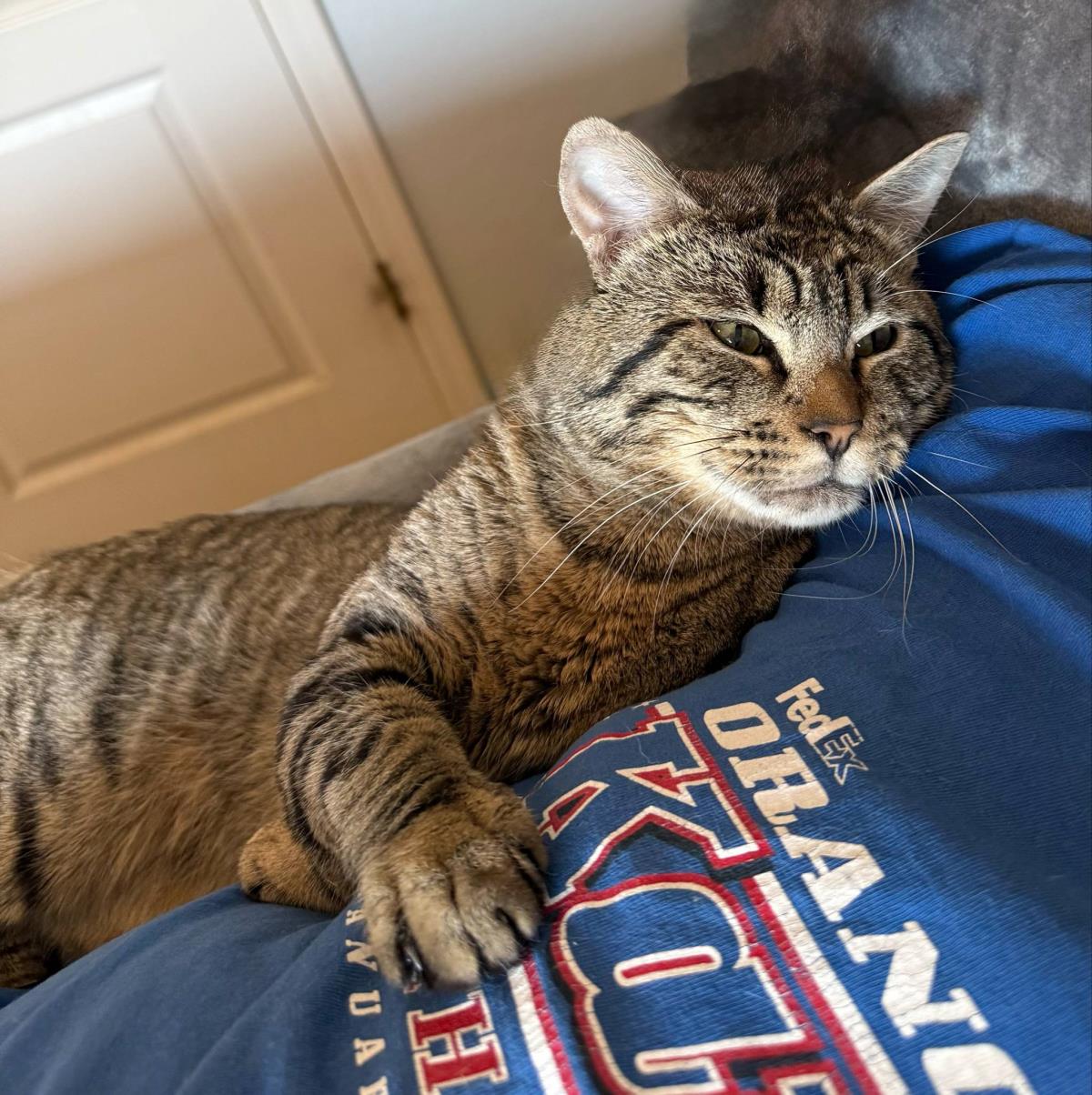 Photo of Rico Suave