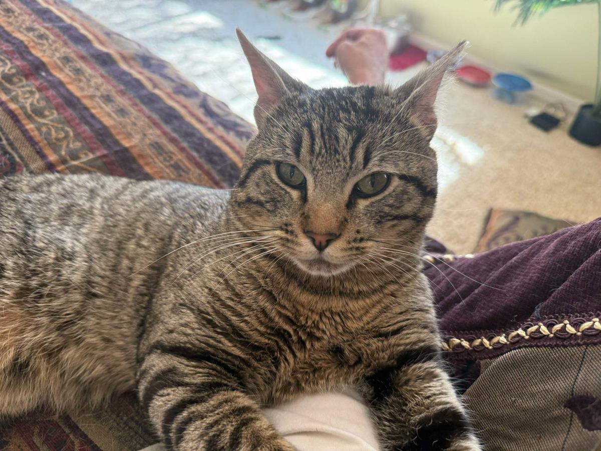 Photo of Rico Suave