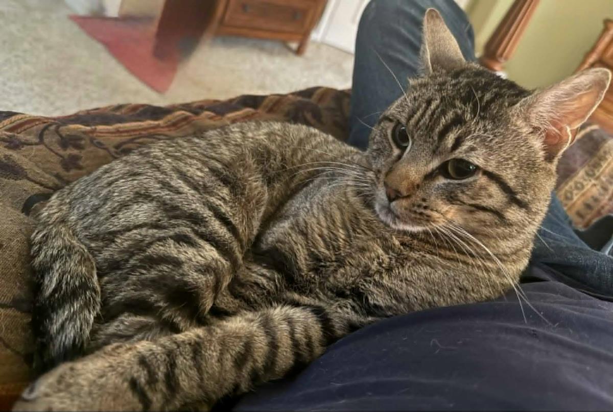 Photo of Rico Suave