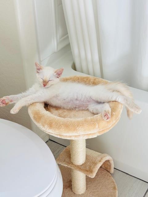 Photo of Manny Pepboys