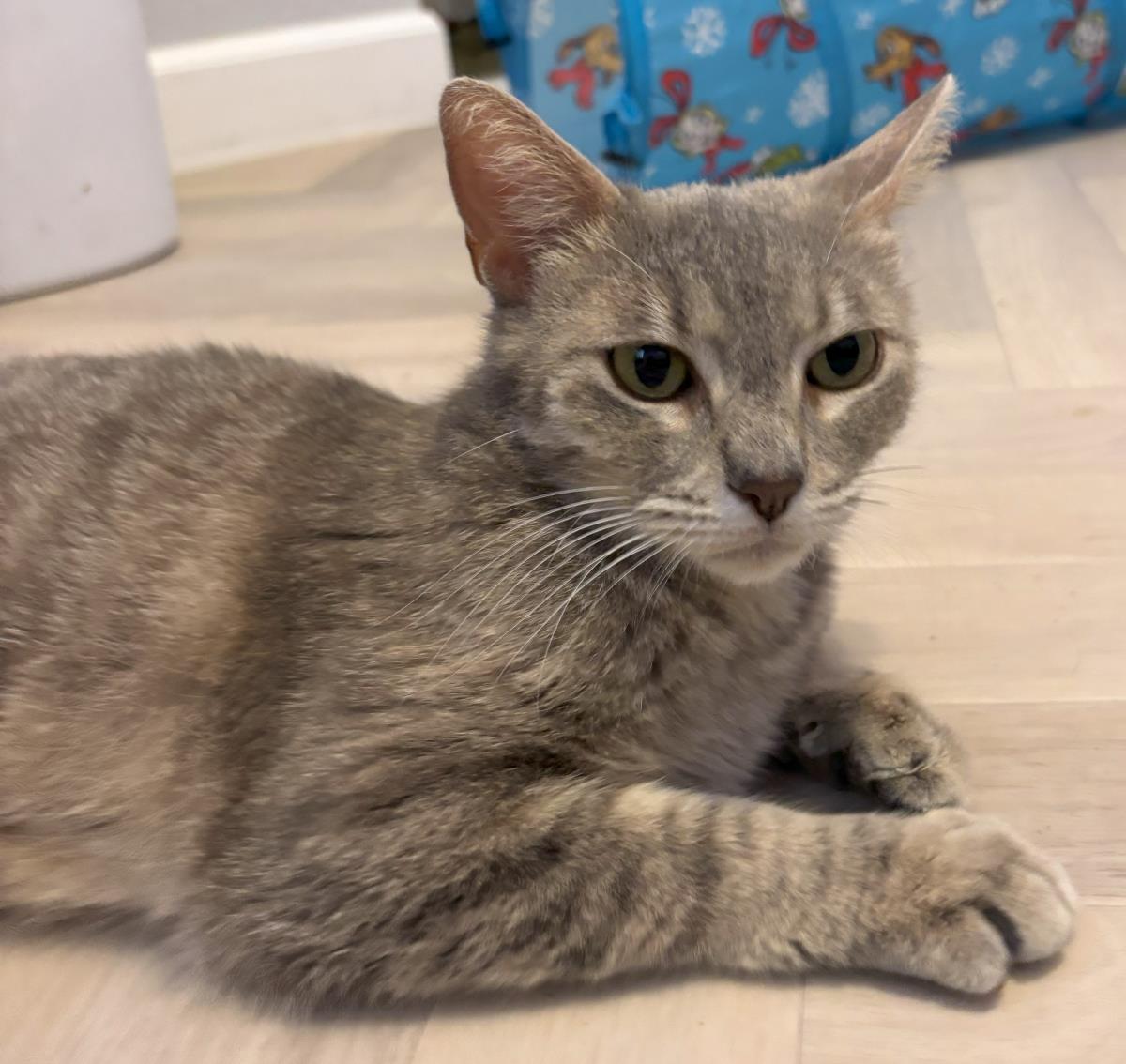 Photo of Callie Clawford