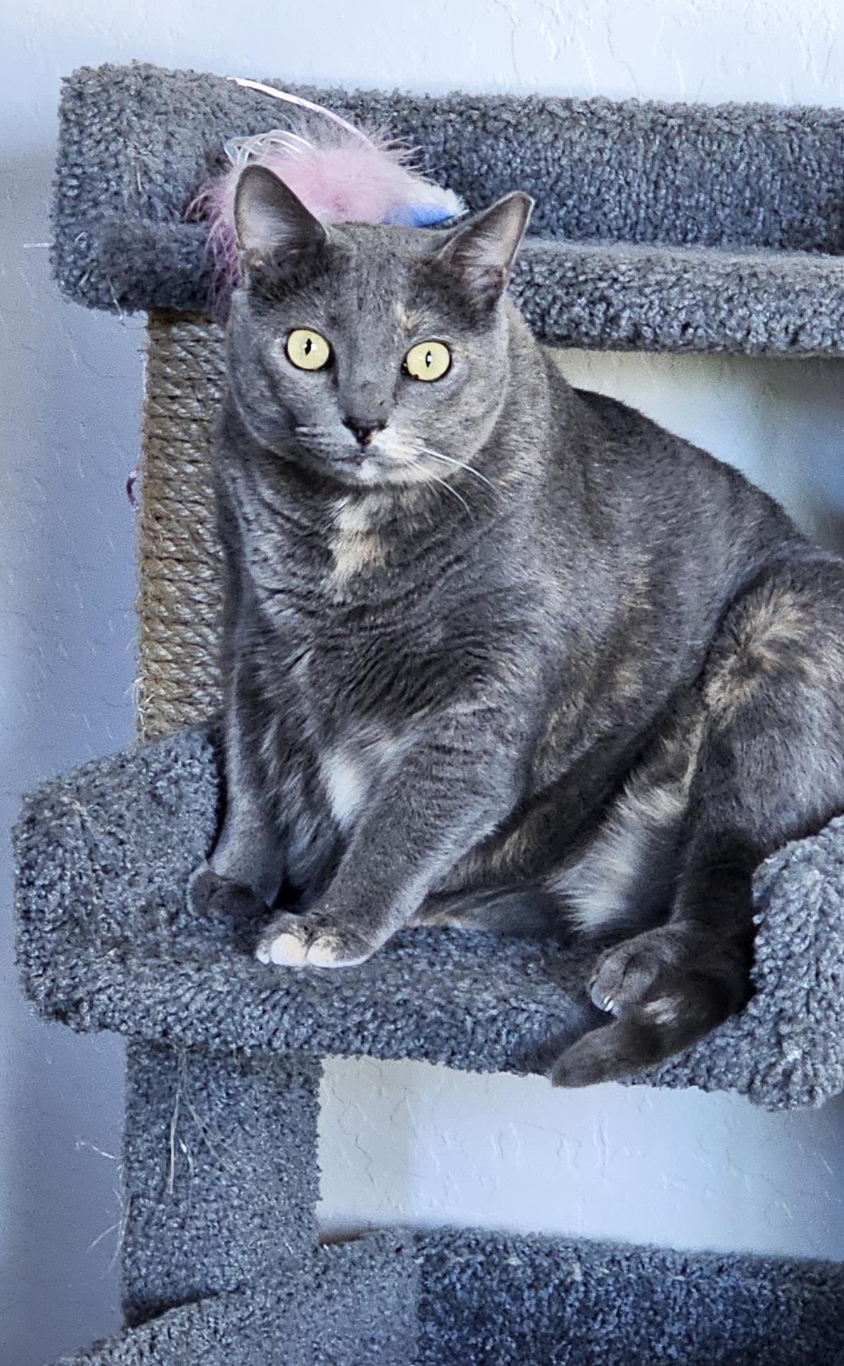 Photo of Waleska Lovebug