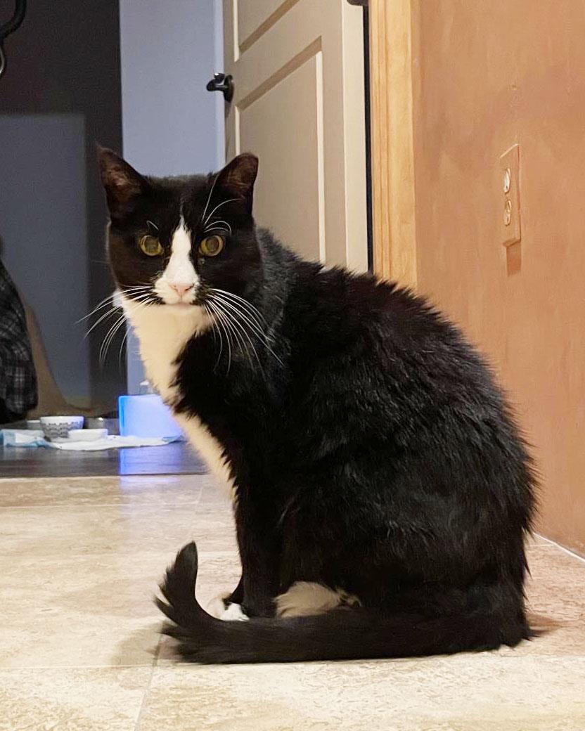 Photo of Kloe Pepper