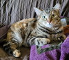 Priska Resiliet - Photo 3
