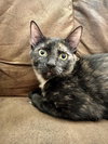 Rosie Clawford - Photo 2
