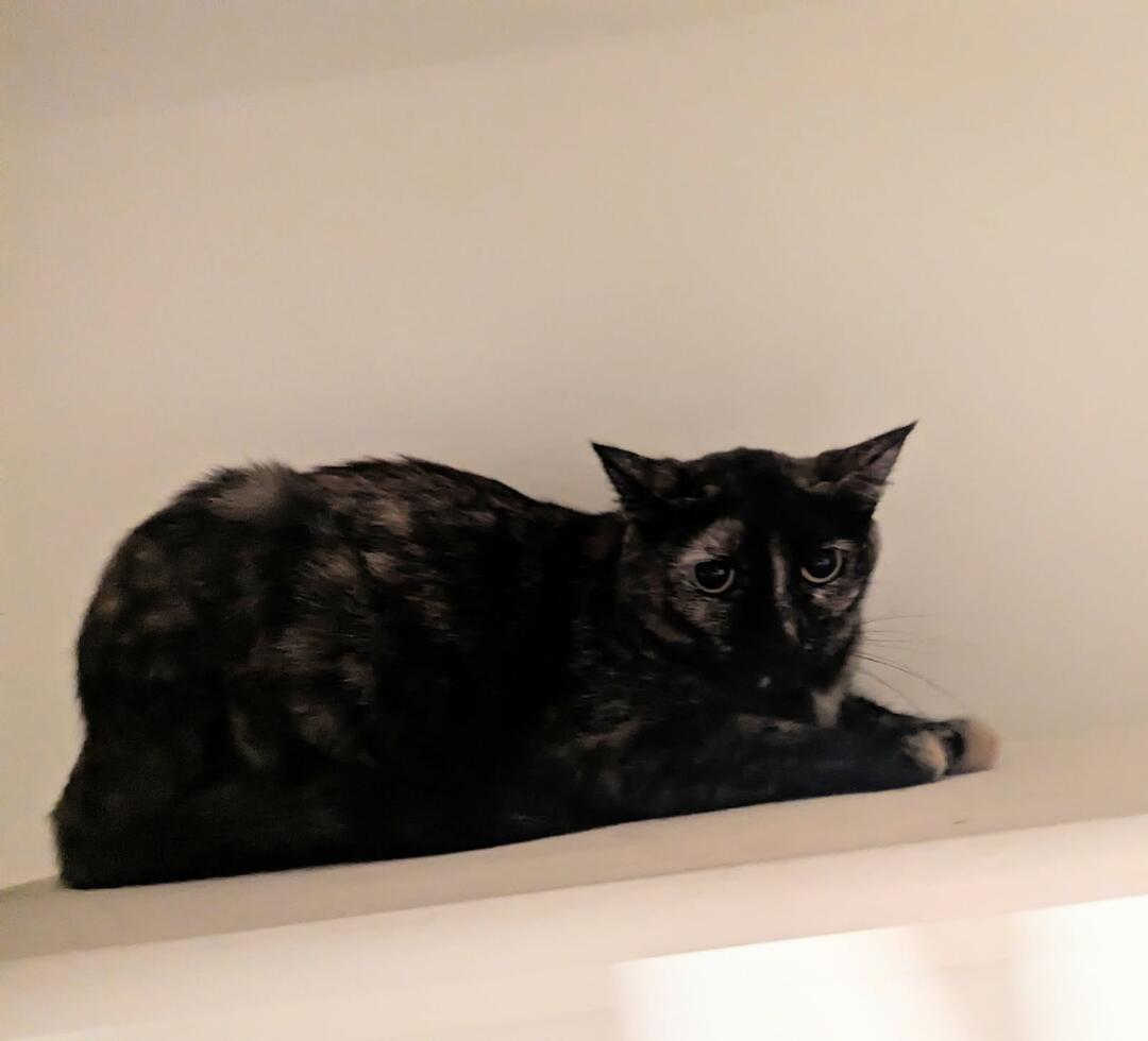 Photo of Penelope Jade