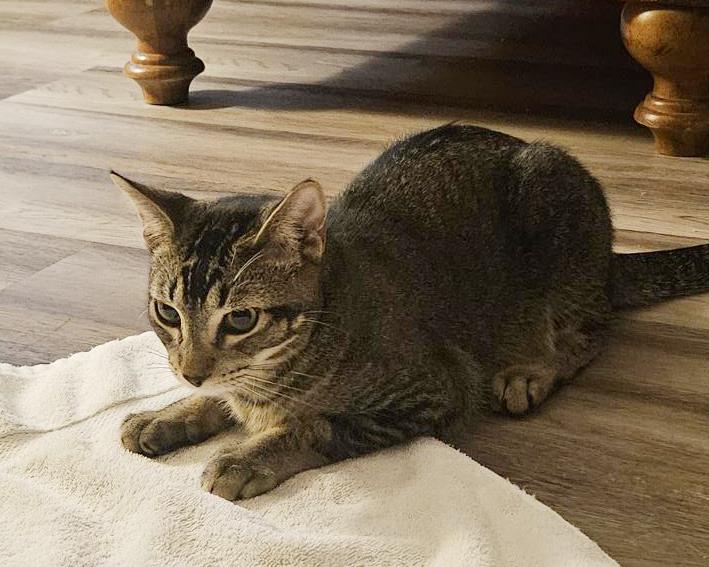 Photo of Shy Guy Iturbe
