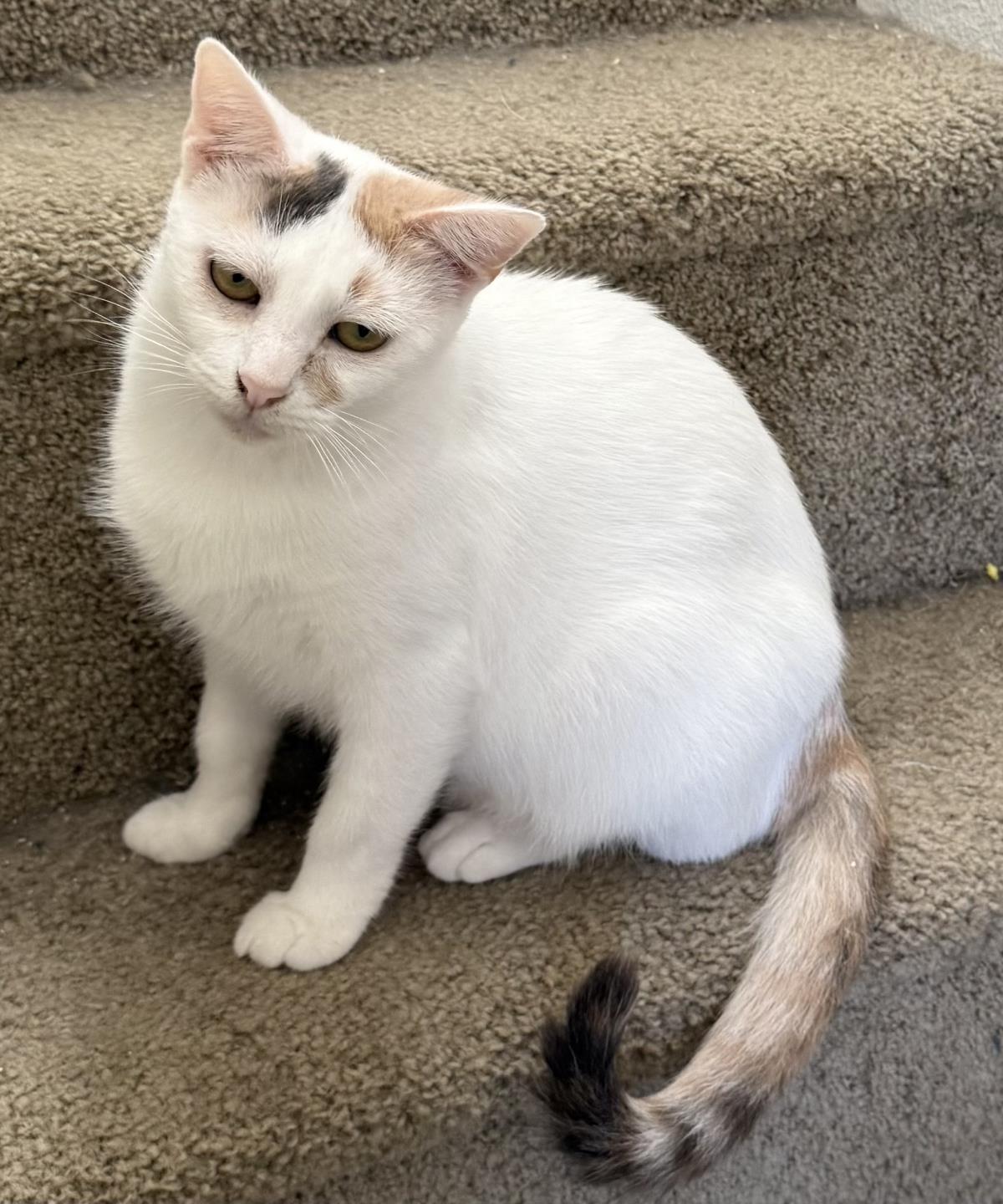Photo of Mimi Mimi