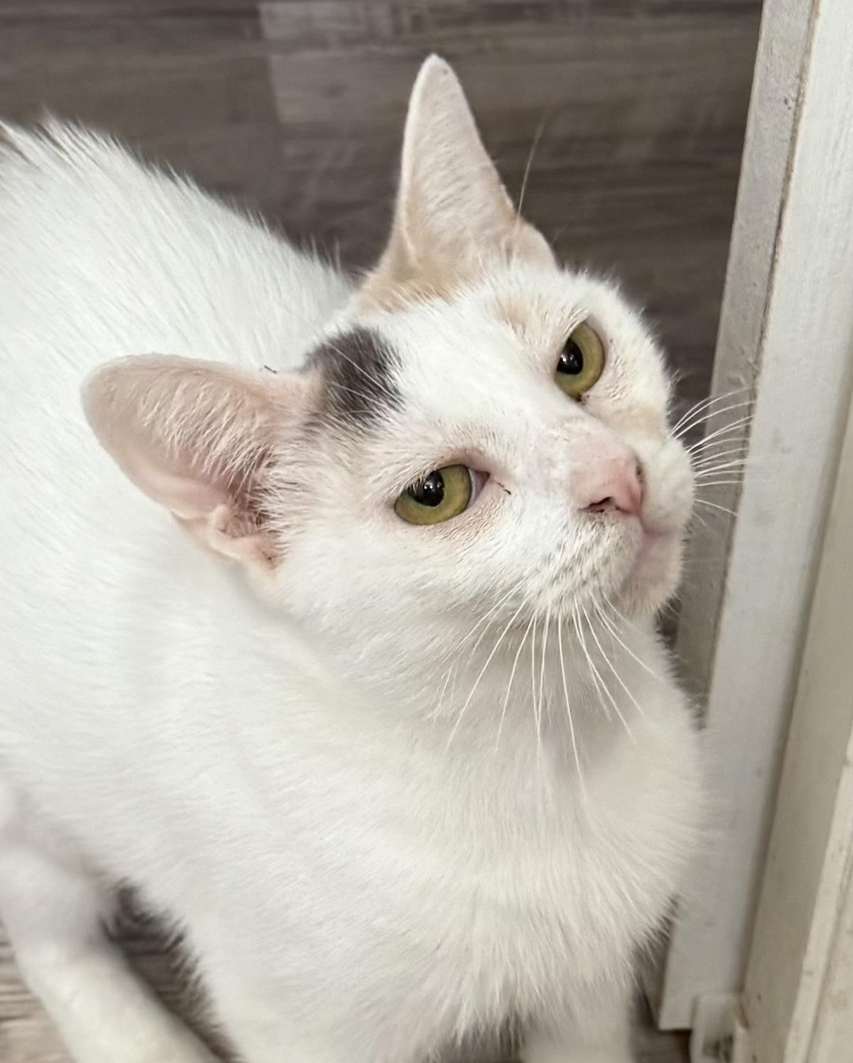 Photo of Mimi Mimi