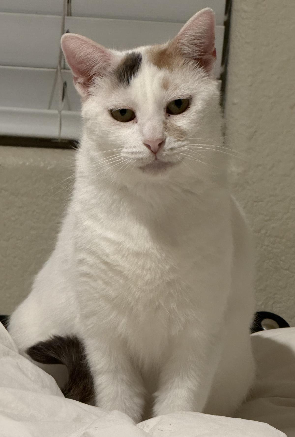 Photo of Mimi Mimi