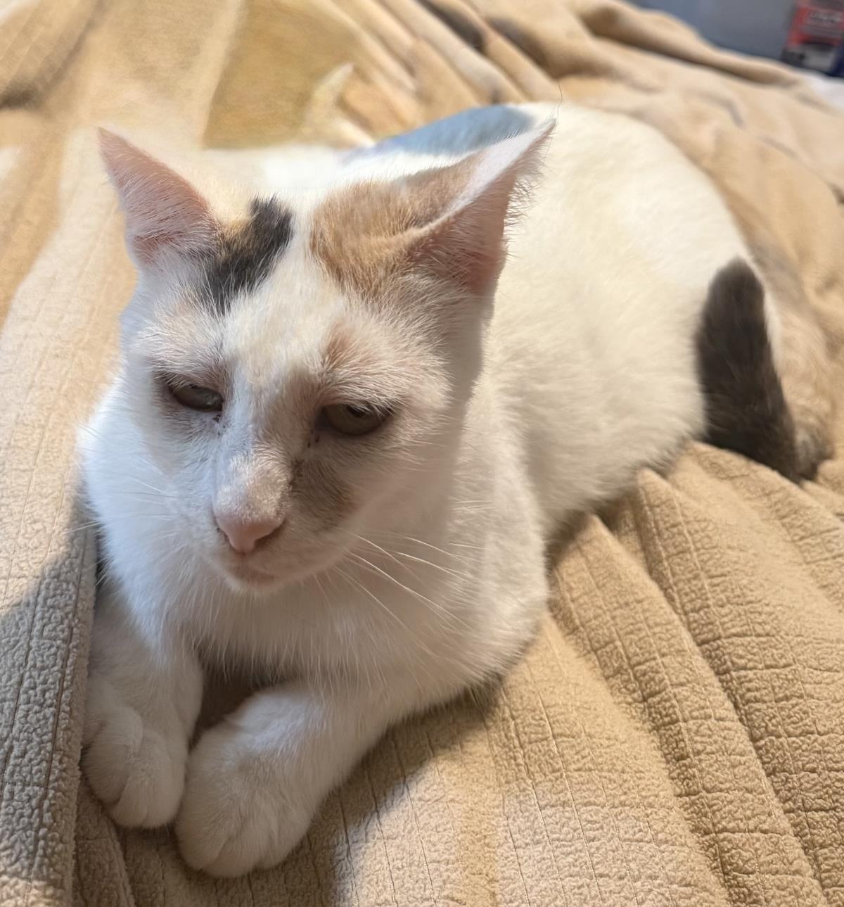 Photo of Mimi Mimi