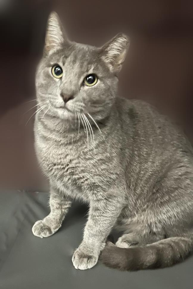 Photo of Big Smooth