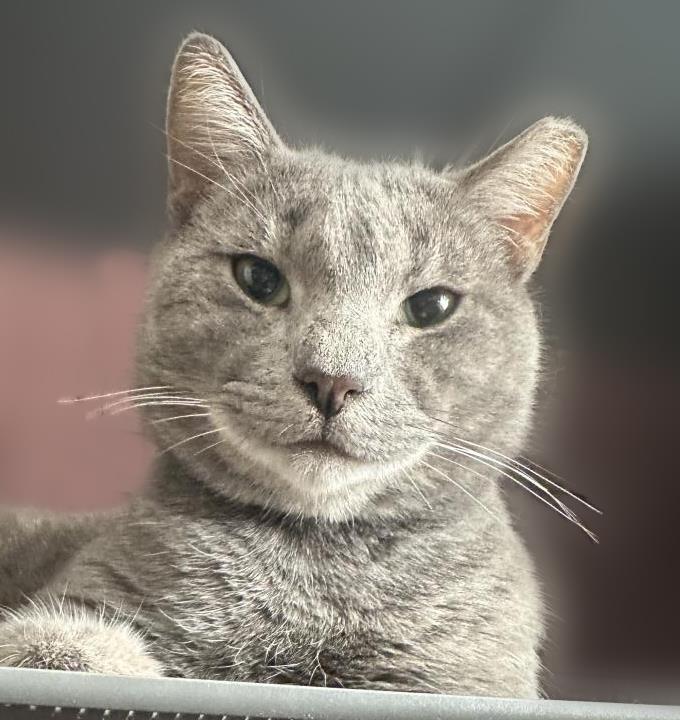 Photo of Big Smooth