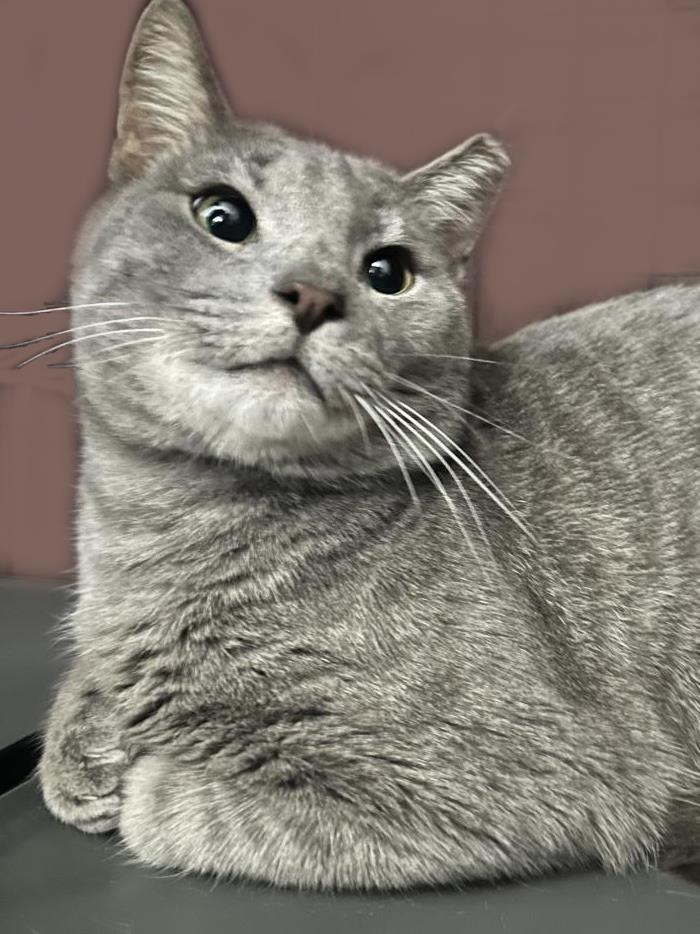 Photo of Big Smooth