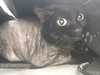 Precious Peters - Photo 1