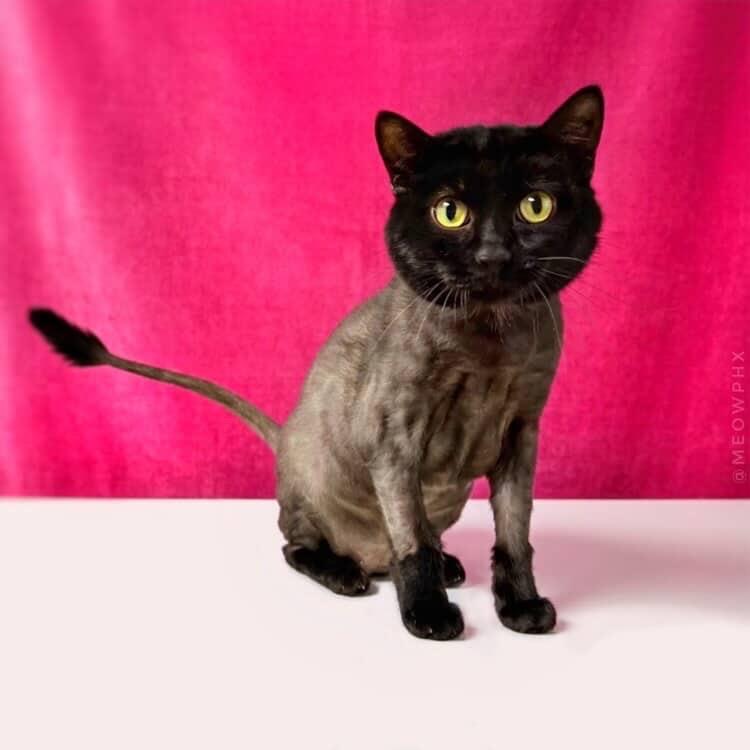 Photo of Precious Peters