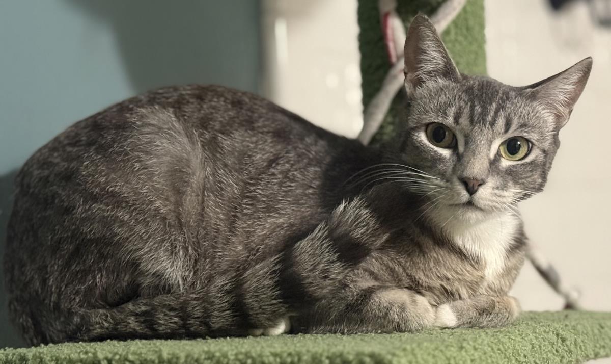 Photo of Luna Ironwood
