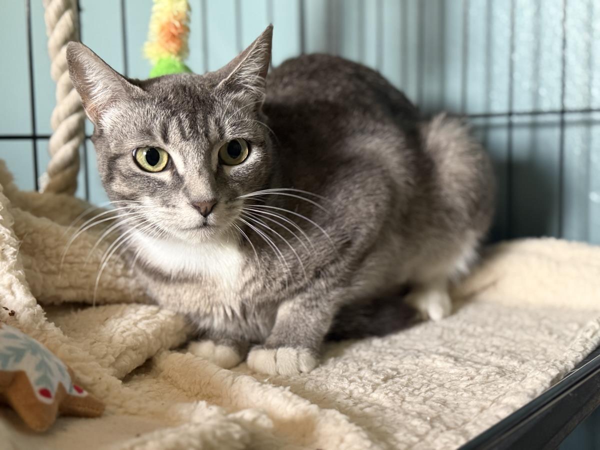Photo of Luna Ironwood