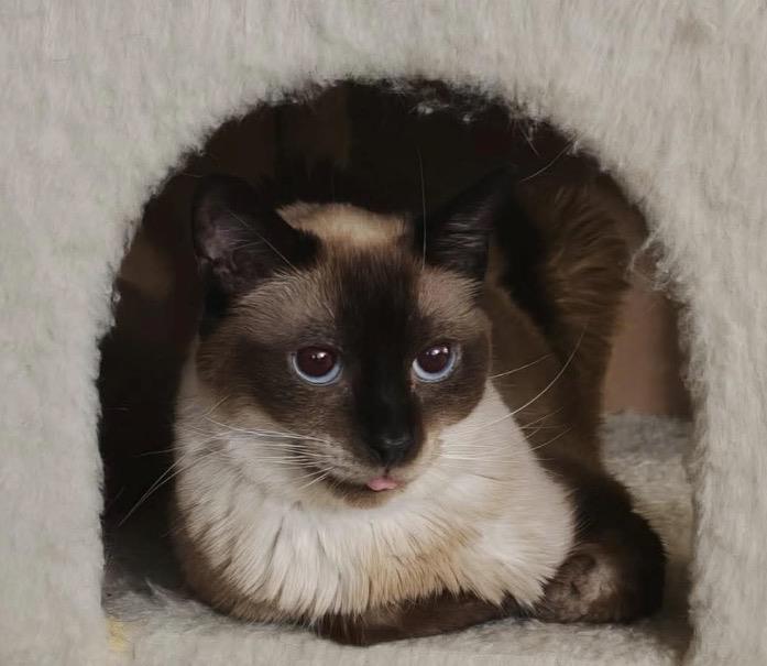 Photo of Sammy Lewhiskers