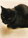 Georgie Park - Photo 2