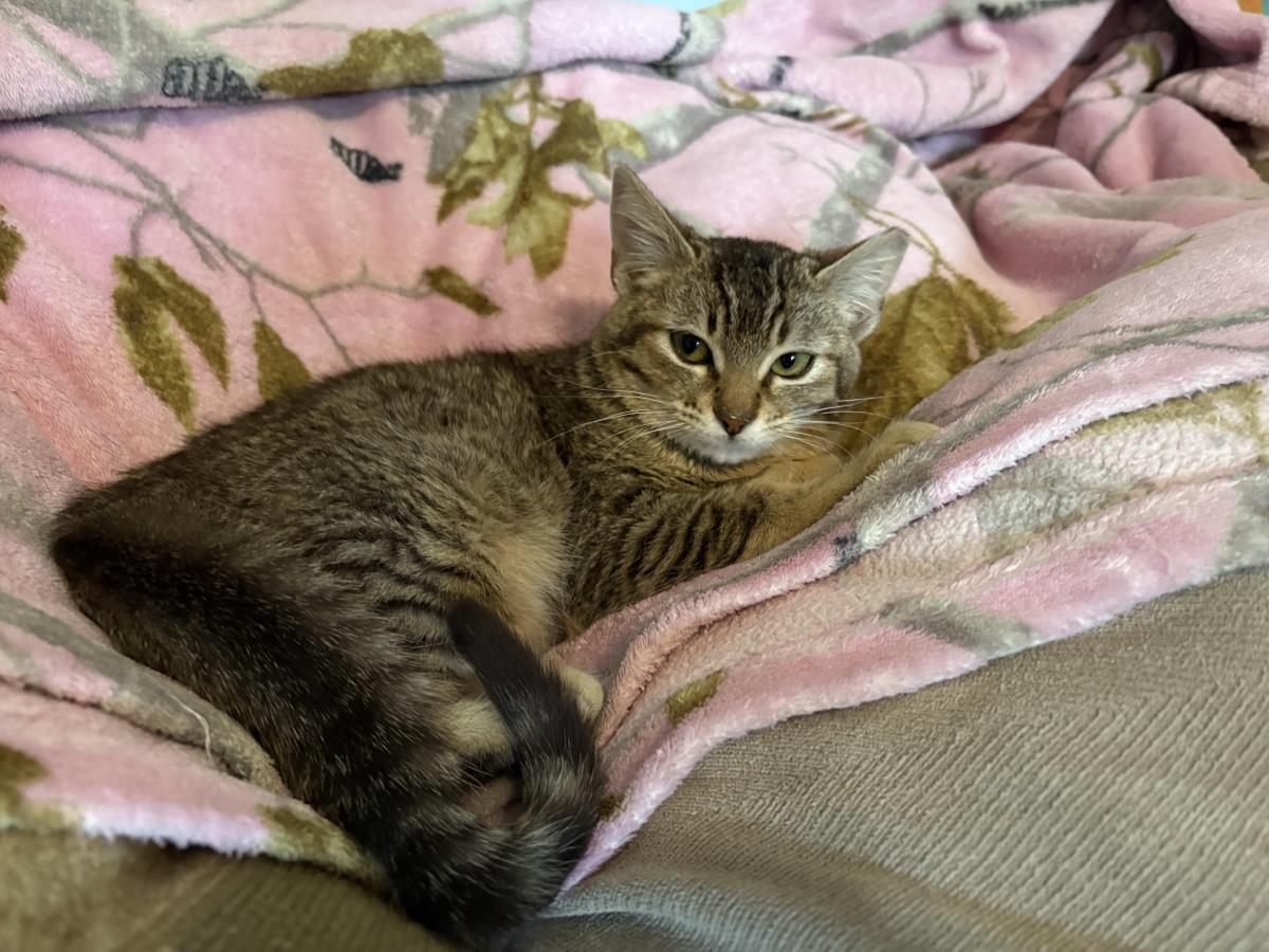 Photo of Maggie May