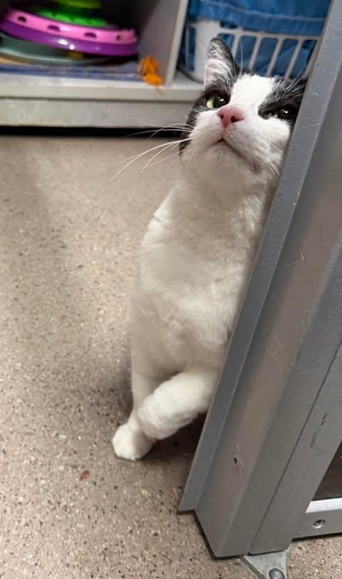 Photo of Maisie Mona Mama