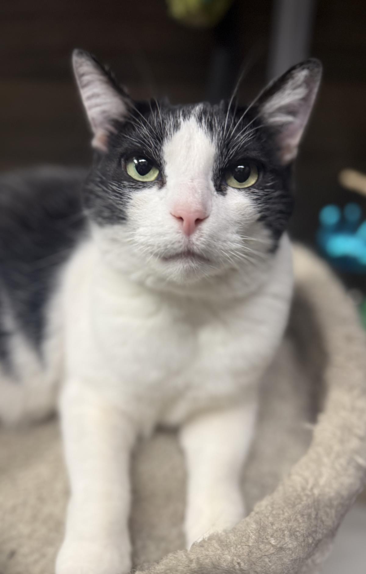 Photo of Maisie Mona Mama