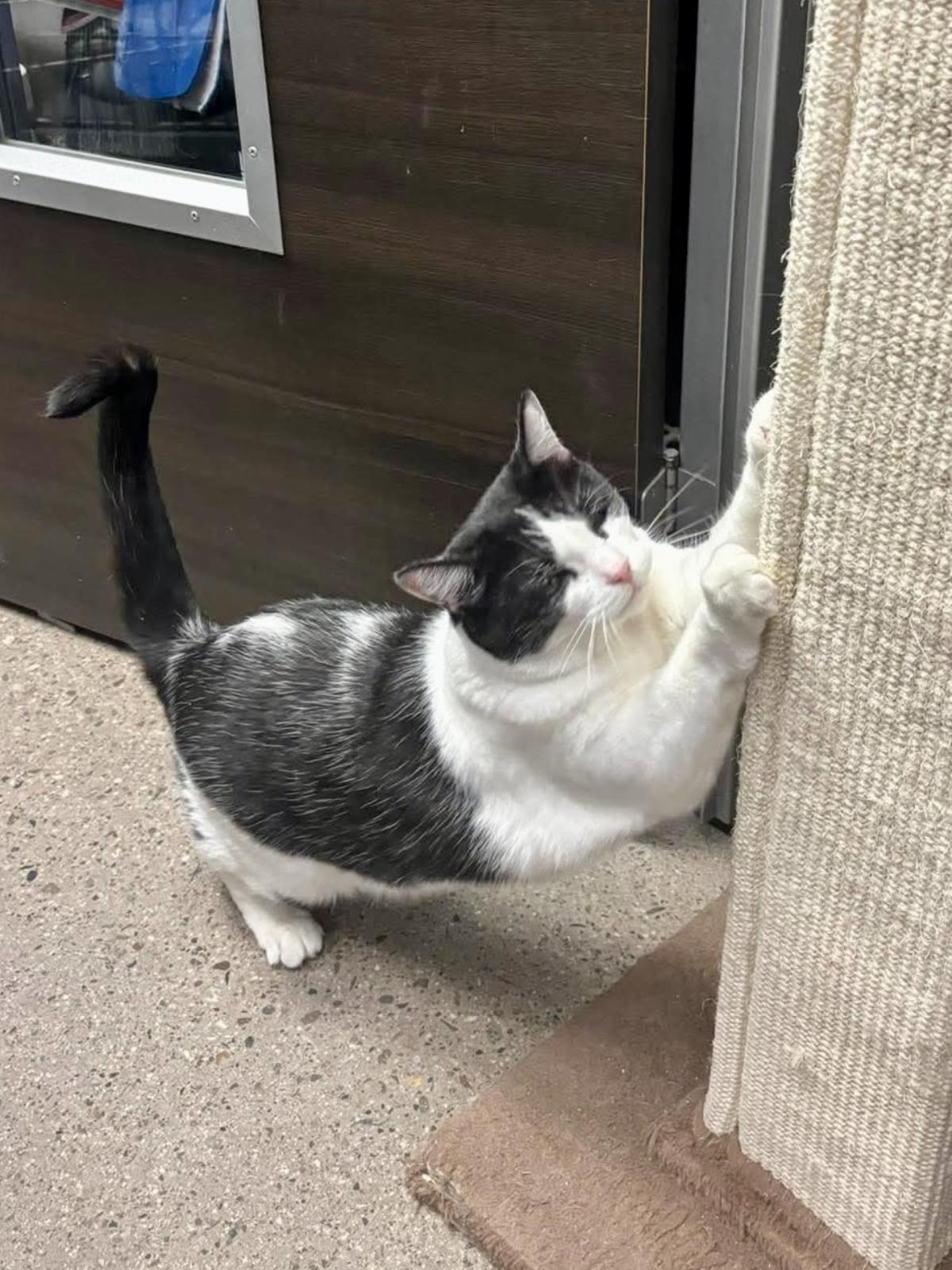 Photo of Maisie Mona Mama