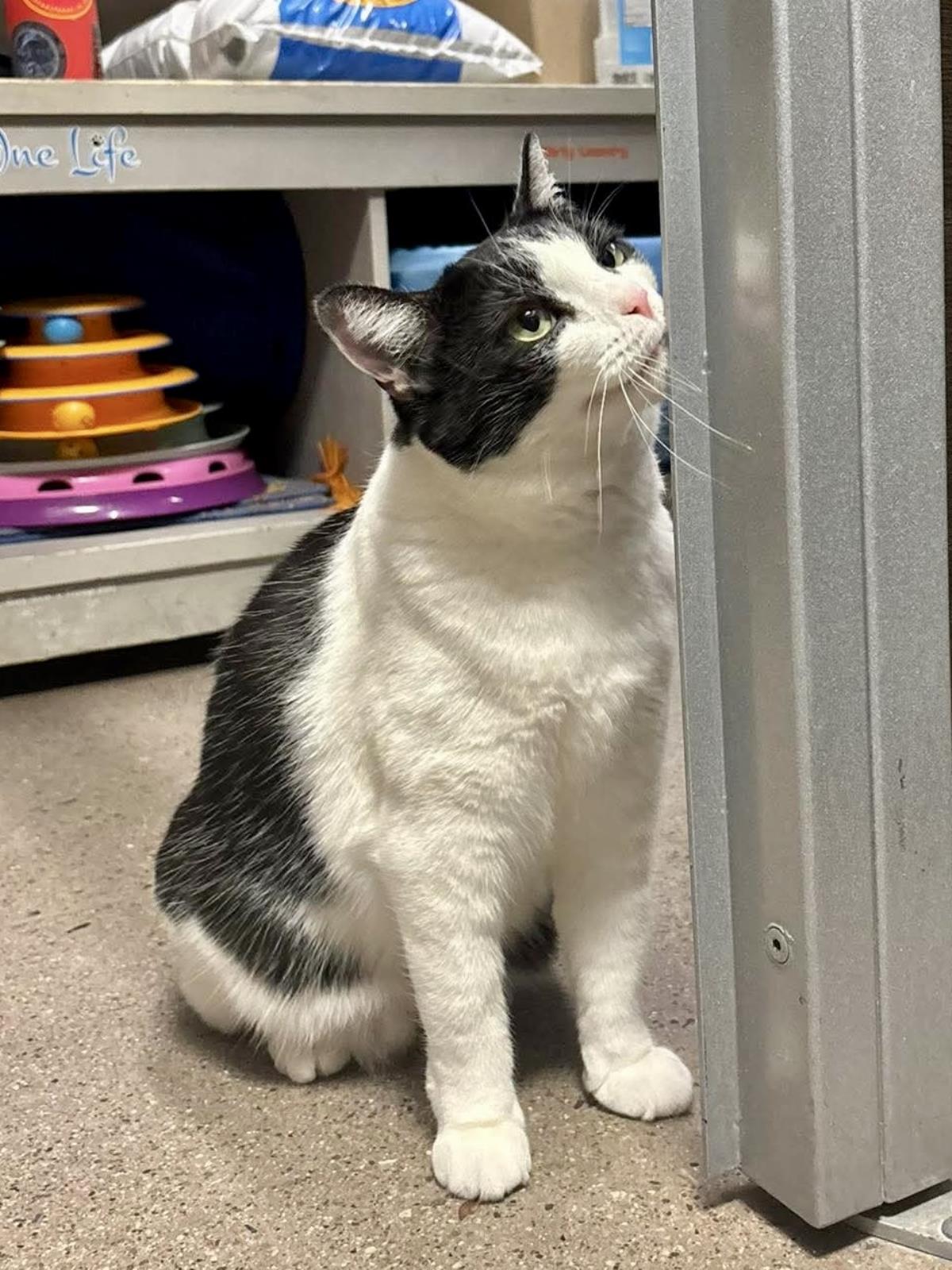 Photo of Maisie Mona Mama