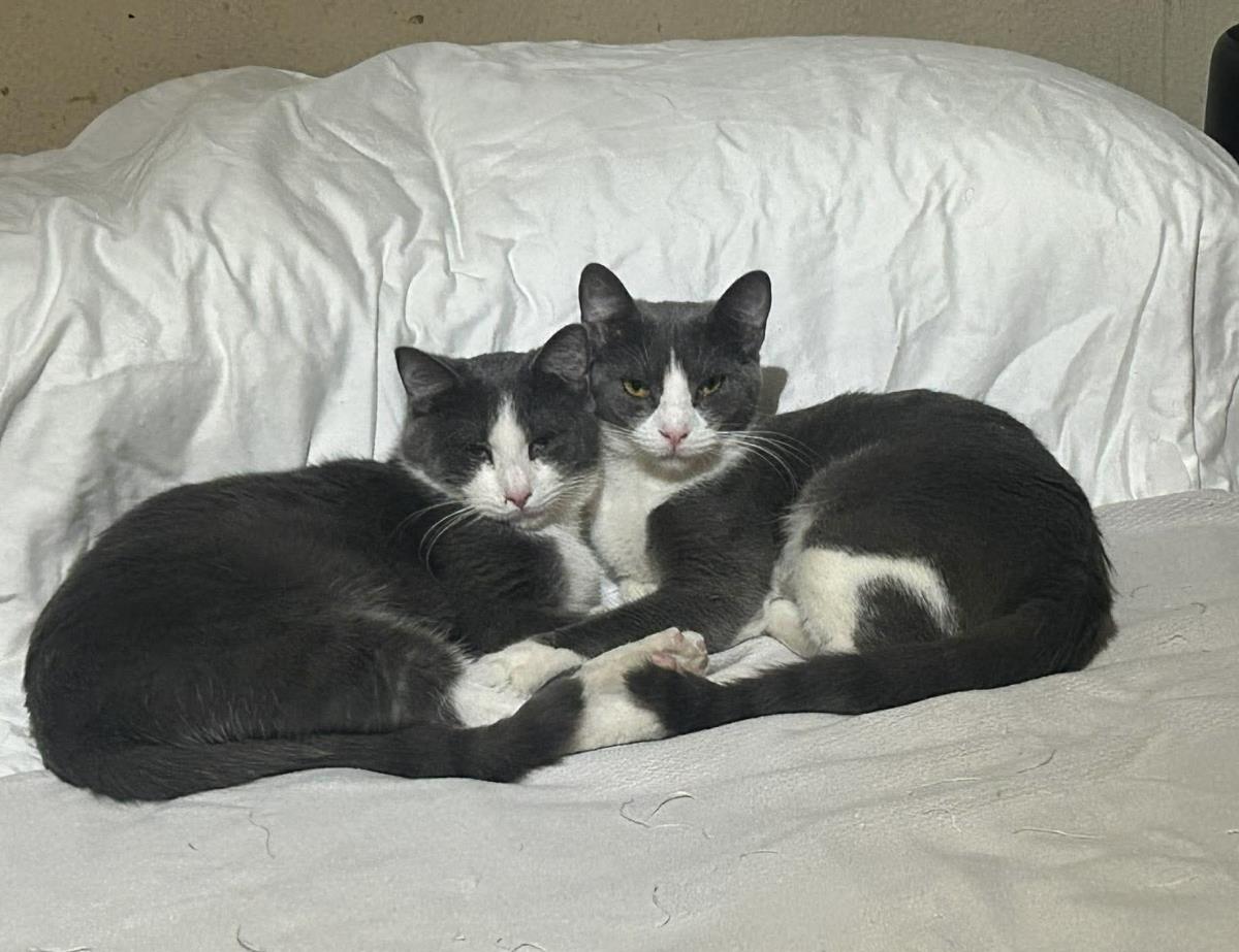 Photo of Biff Obispo Bonded Sabine Obispo