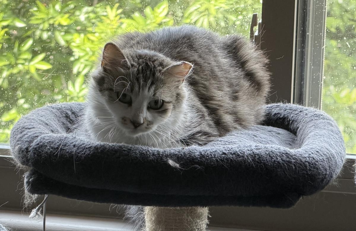 Photo of Bella Sunshine