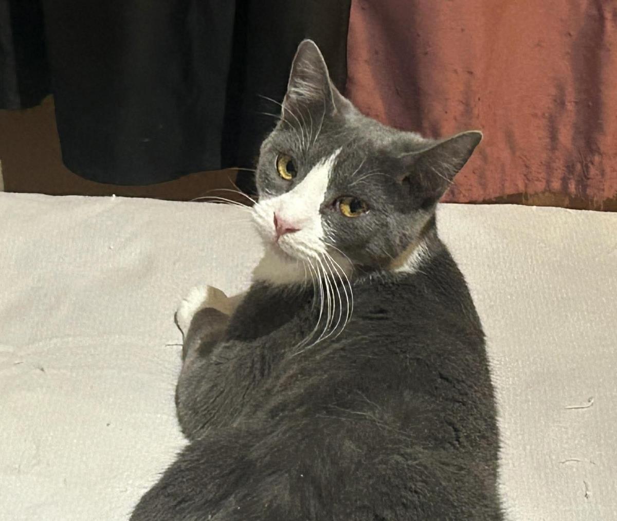 Photo of Sabine Obispo Bonded To Biff Obispo