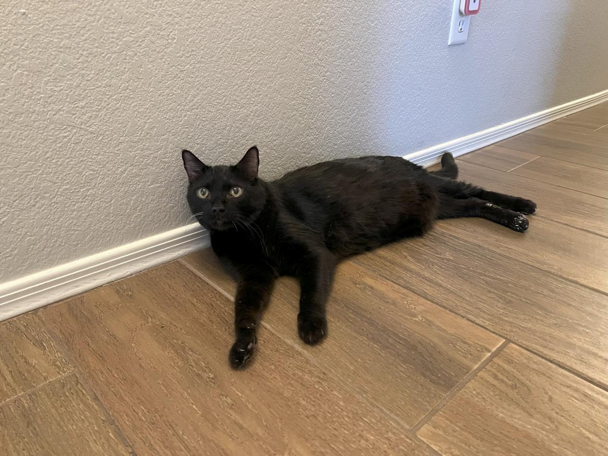Photo of Professor Fuzzbottom