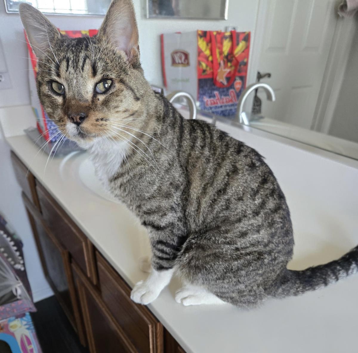 Photo of Bootsie Cedar