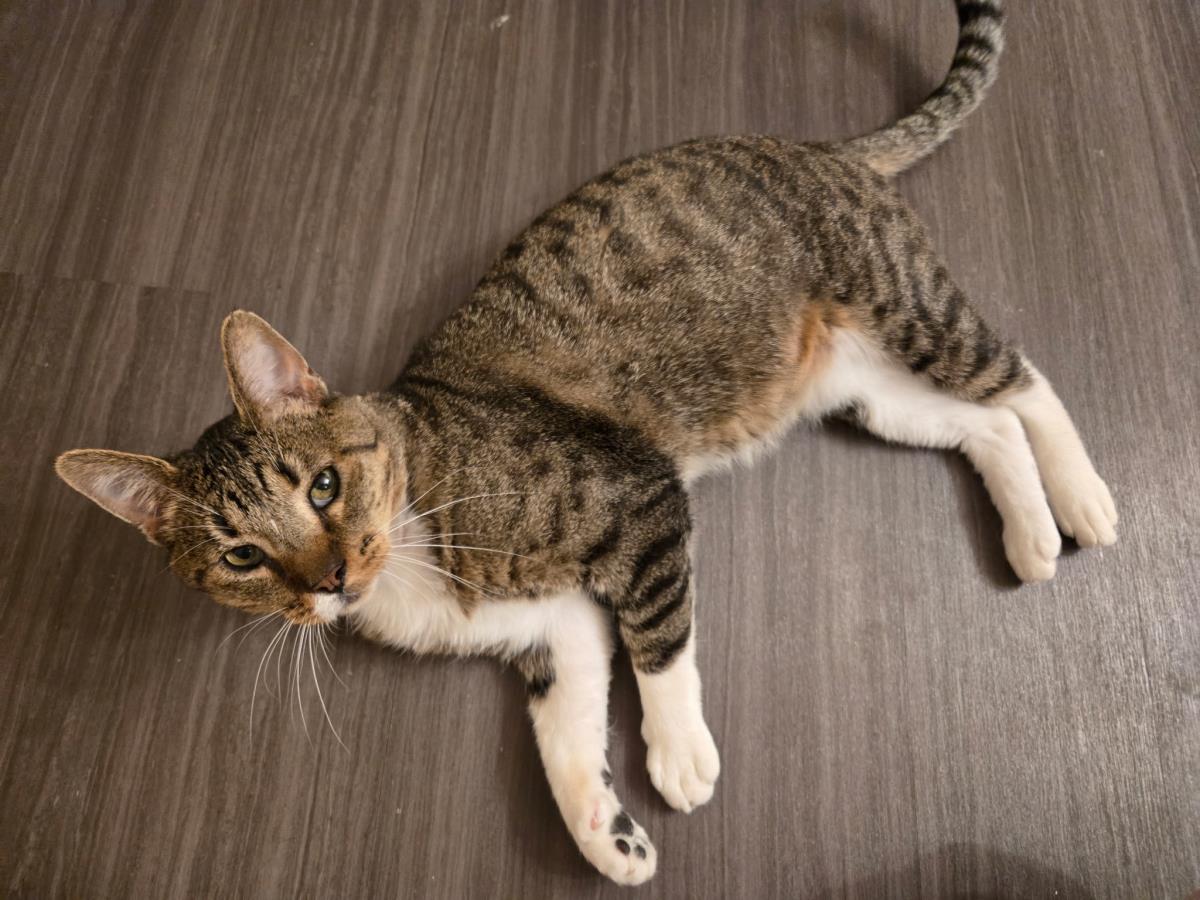 Photo of Bootsie Cedar