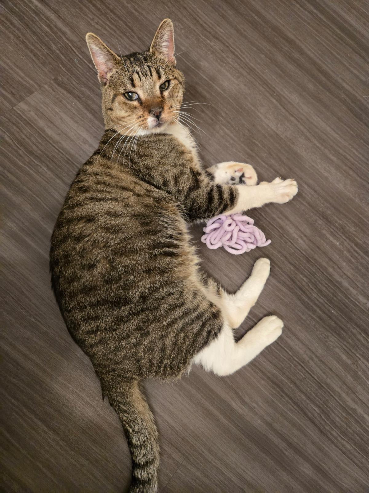 Photo of Bootsie Cedar