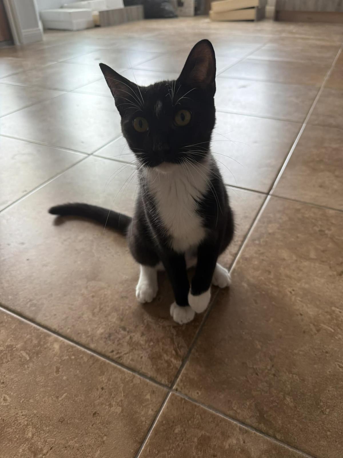 Photo of Buttercup Powerpuff