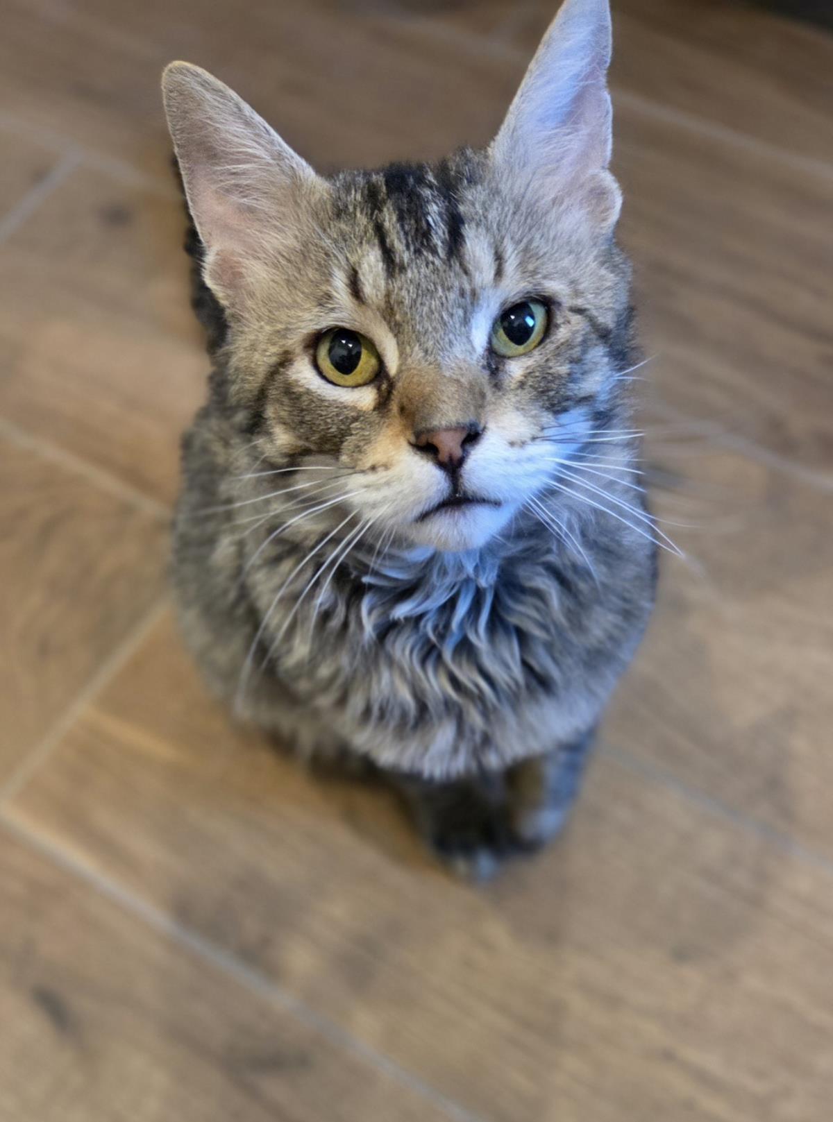 Photo of Skater Boi