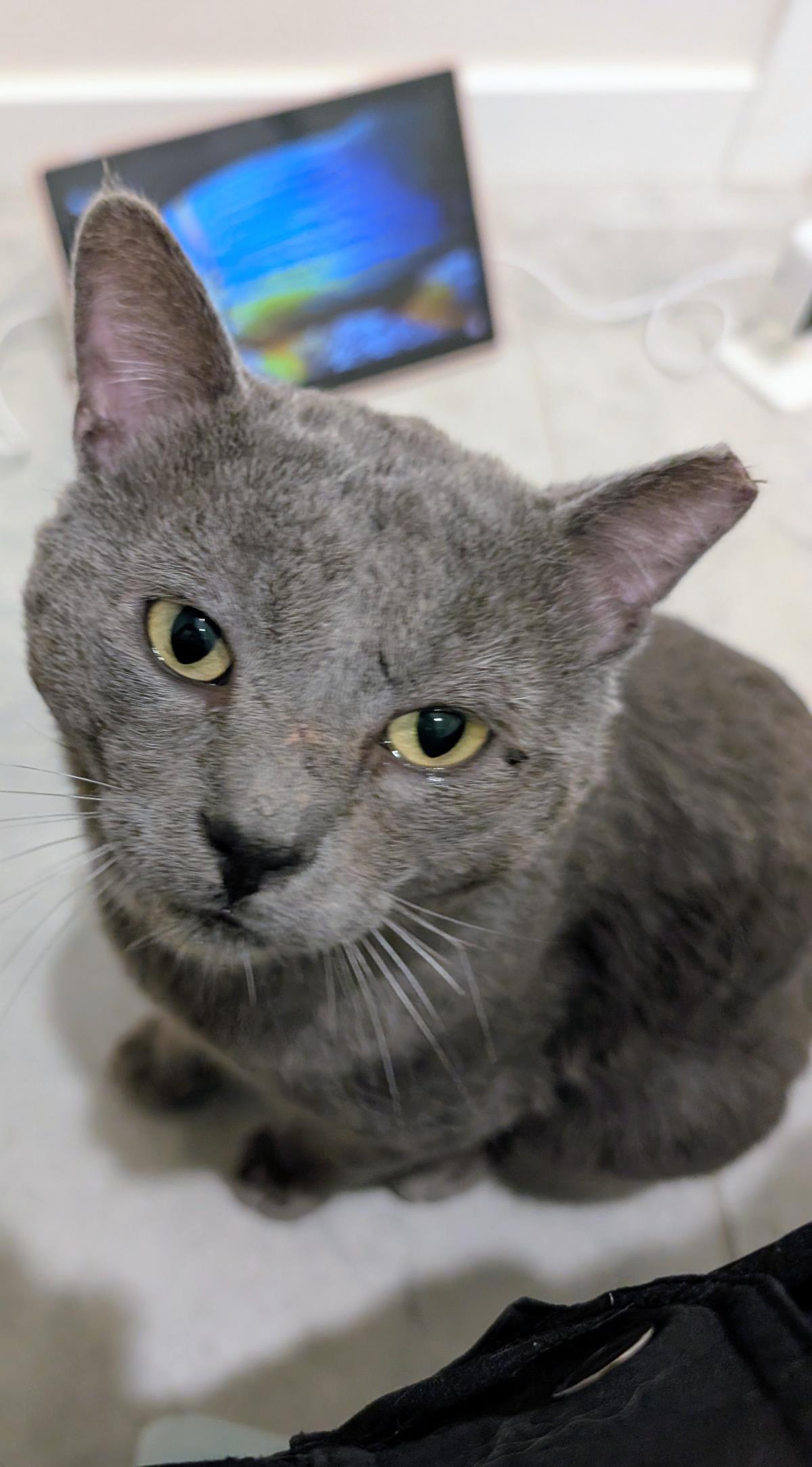 Photo of Paul Mccatney Aka Smokey