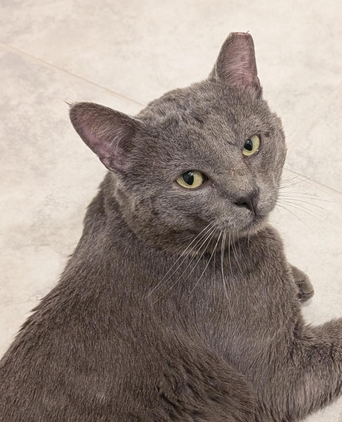 Photo of Paul Mccatney Aka Smokey