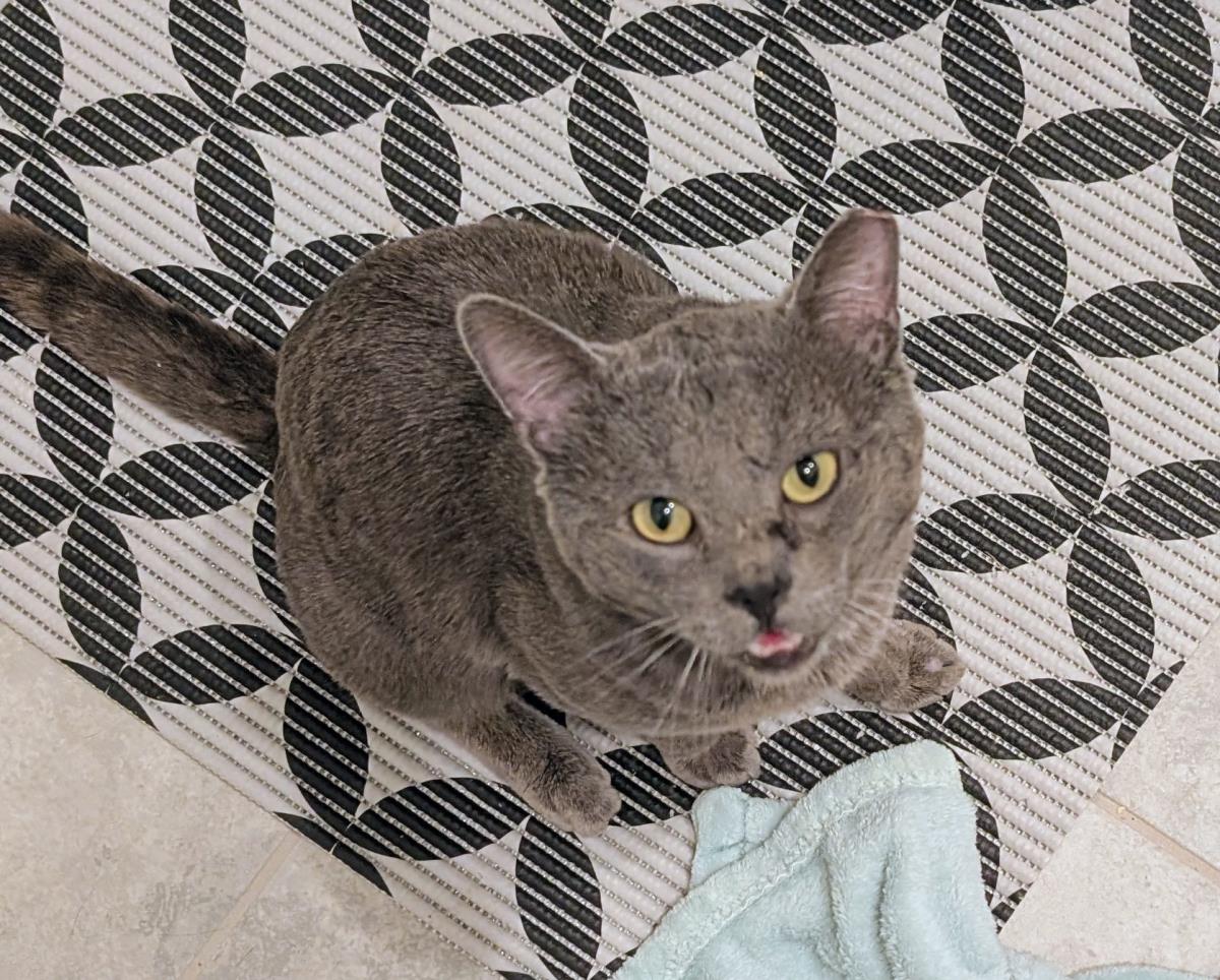 Photo of Paul Mccatney Aka Smokey