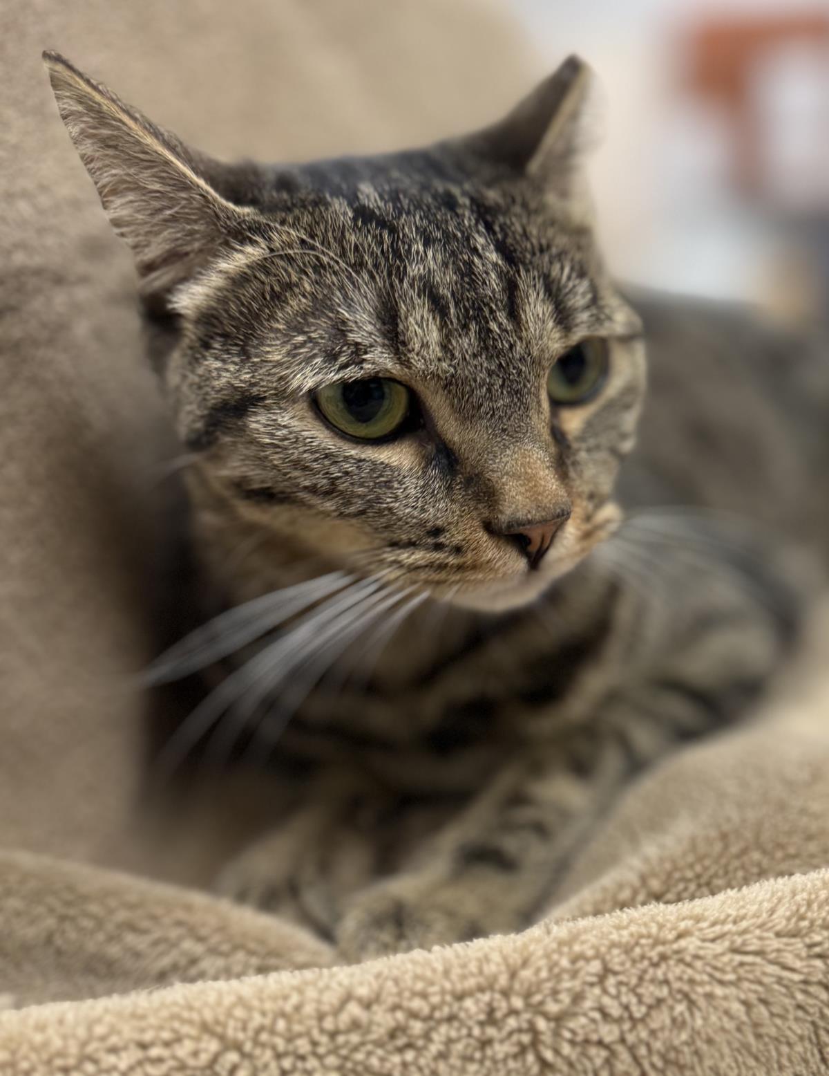 Photo of Jody "niko" Davis