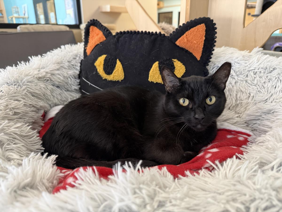 Photo of Rei June