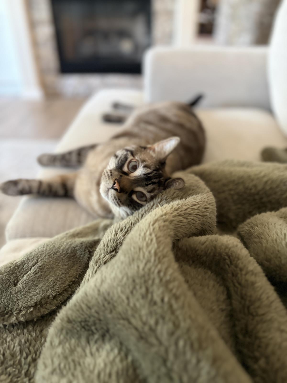 Photo of Ghost Greyson