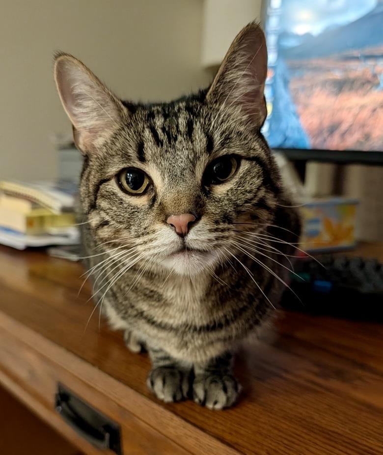 Photo of Dexter Buttons