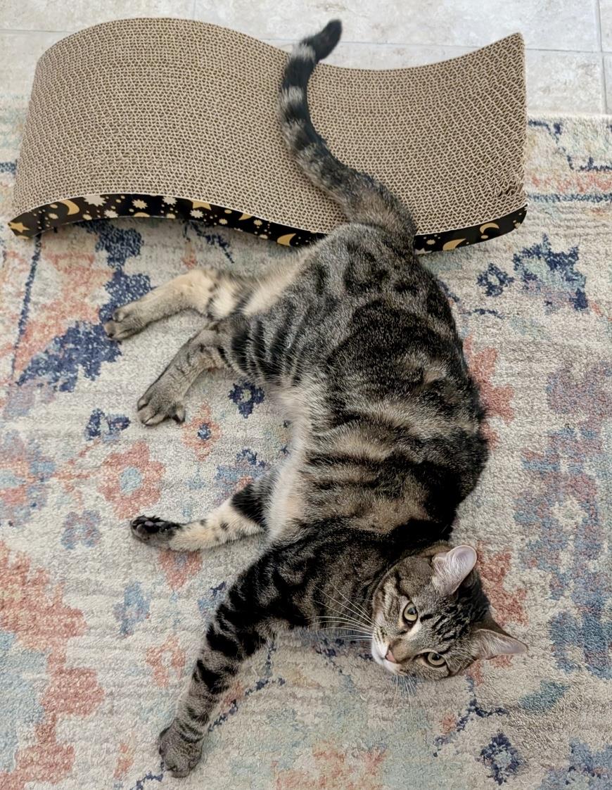 Photo of Dexter Buttons