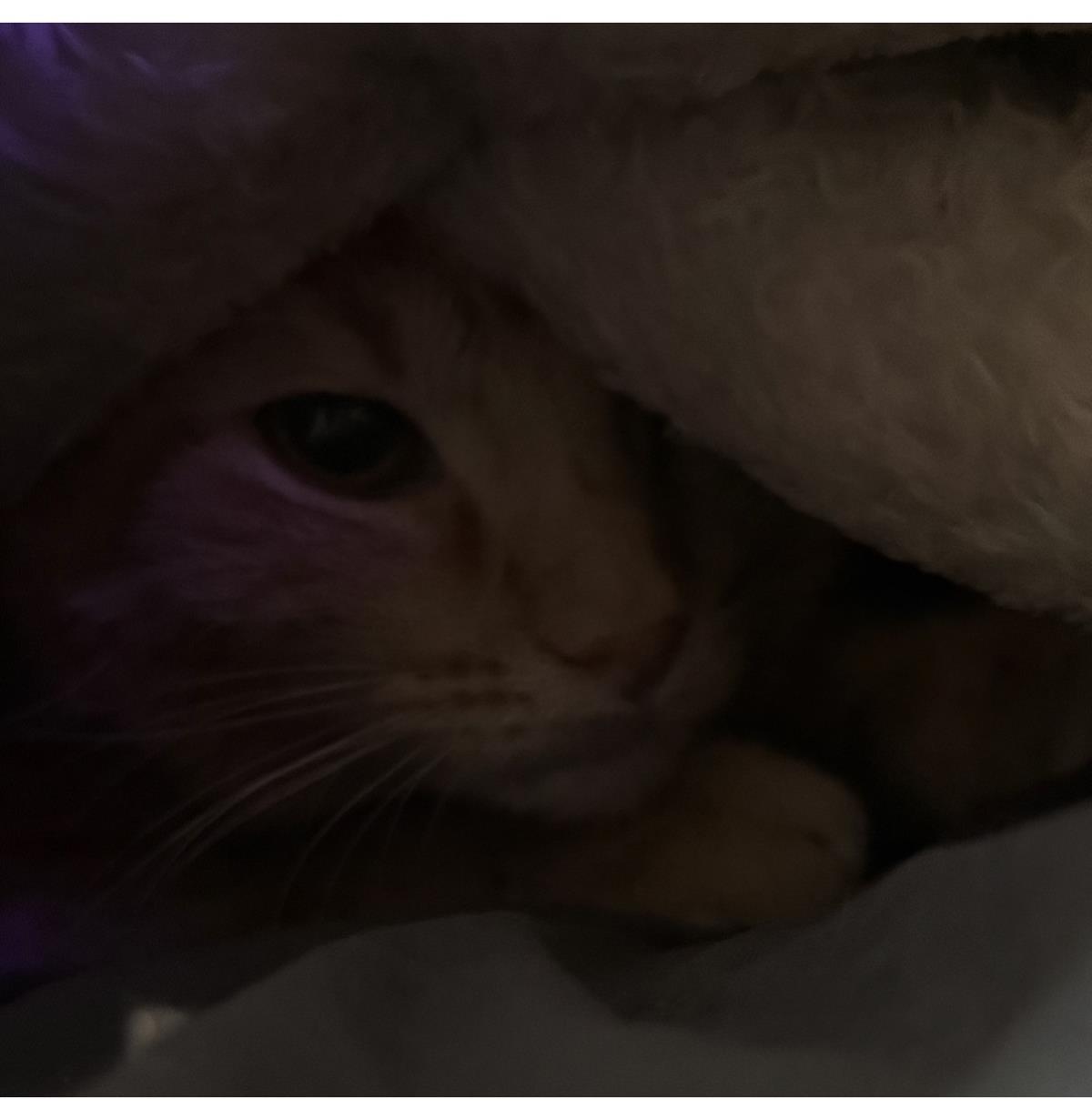 Photo of Sabrina Duncan